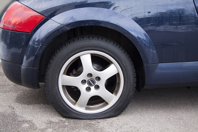 neumáticos en los vehículos de tu flota