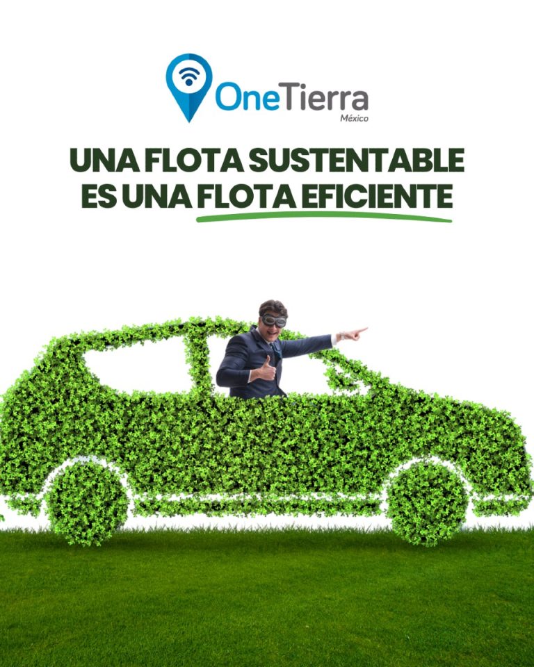 Día Mundial del Medio Ambiente