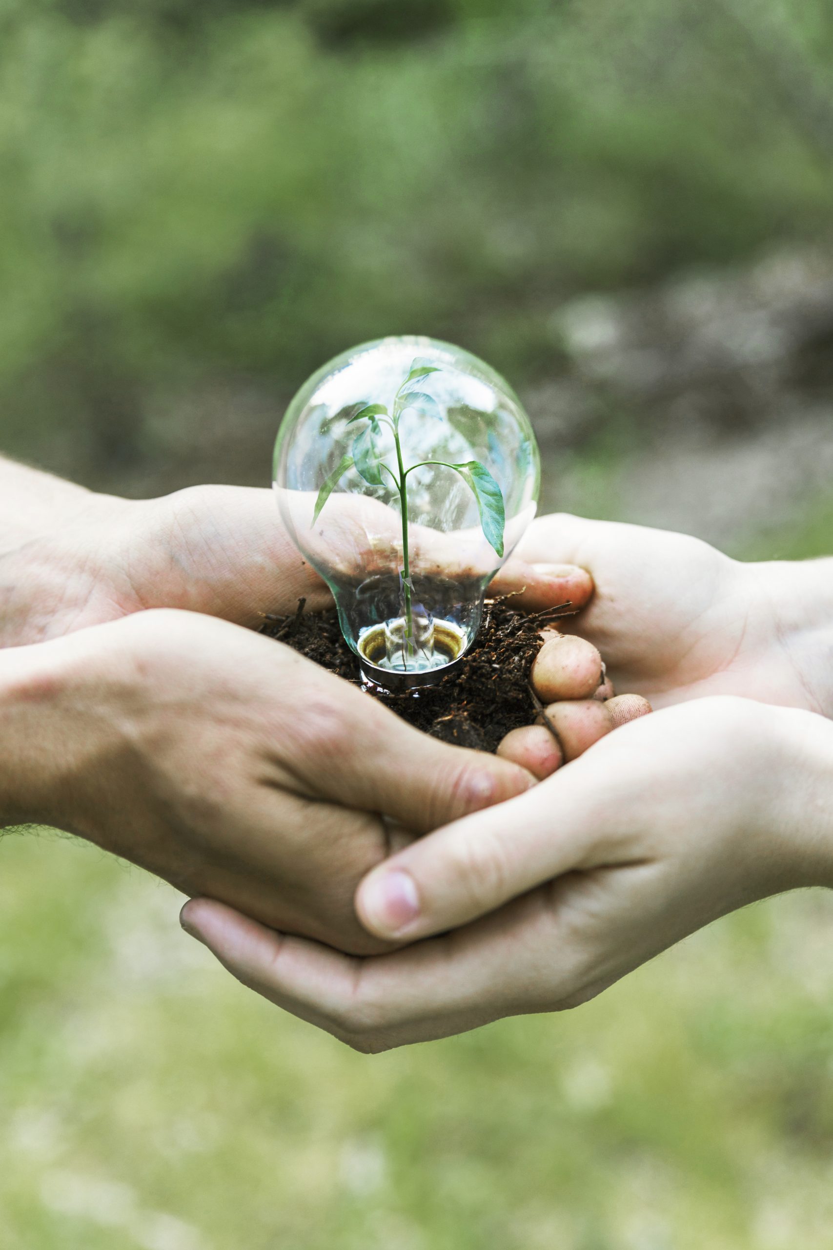 Día Mundial del Medio Ambiente