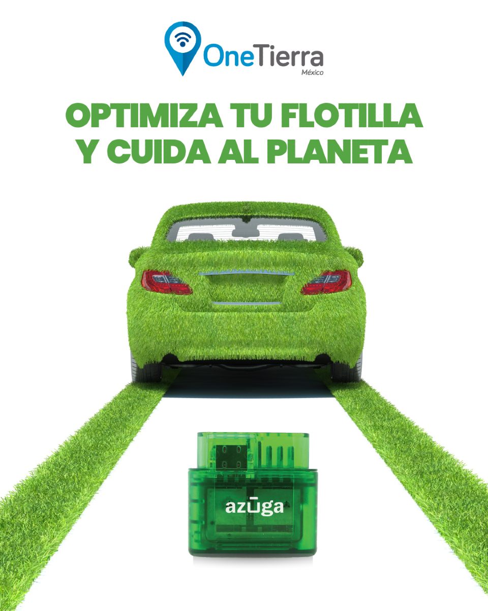 compromiso ambiental de One Tierra