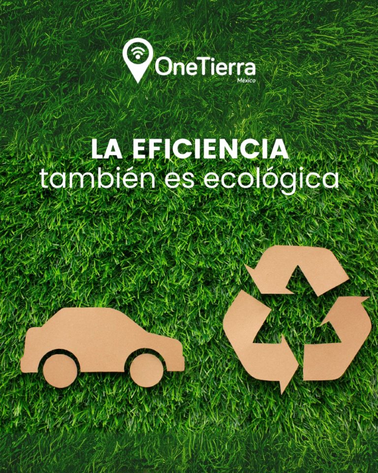MÉXICO  DRIVE SAFE y MÉXICO  DRIVE GREEN