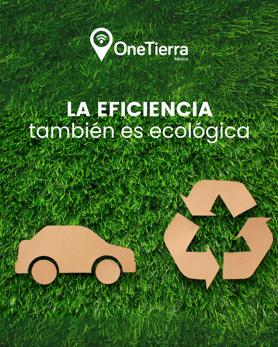 MÉXICO  DRIVE SAFE y MÉXICO  DRIVE GREEN