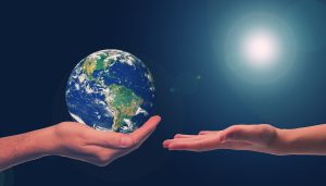 compromiso ambiental de One Tierra