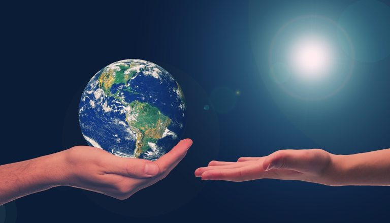 compromiso ambiental de One Tierra
